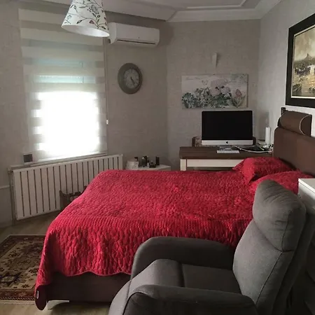 A Huge With A Sea View In فيلة اسطنبول